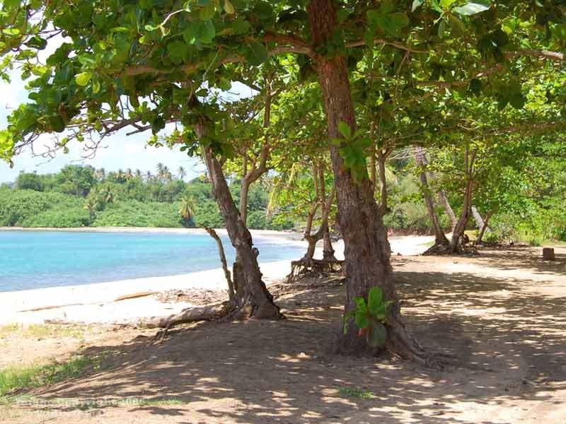 Calibishie Cove Hotel Exterior foto