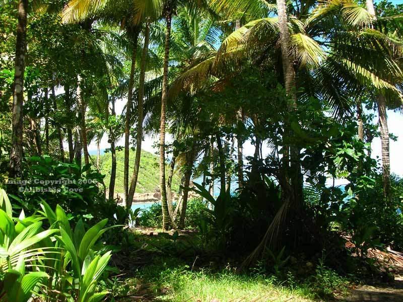 Calibishie Cove Hotel Exterior foto