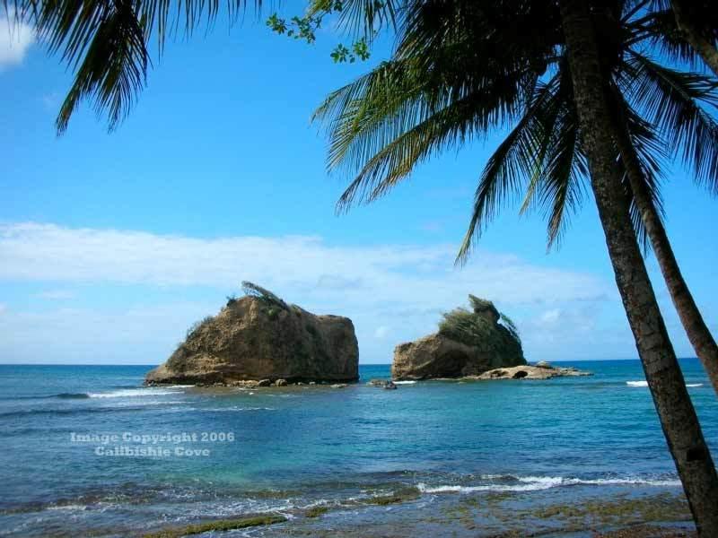 Calibishie Cove Hotel Exterior foto
