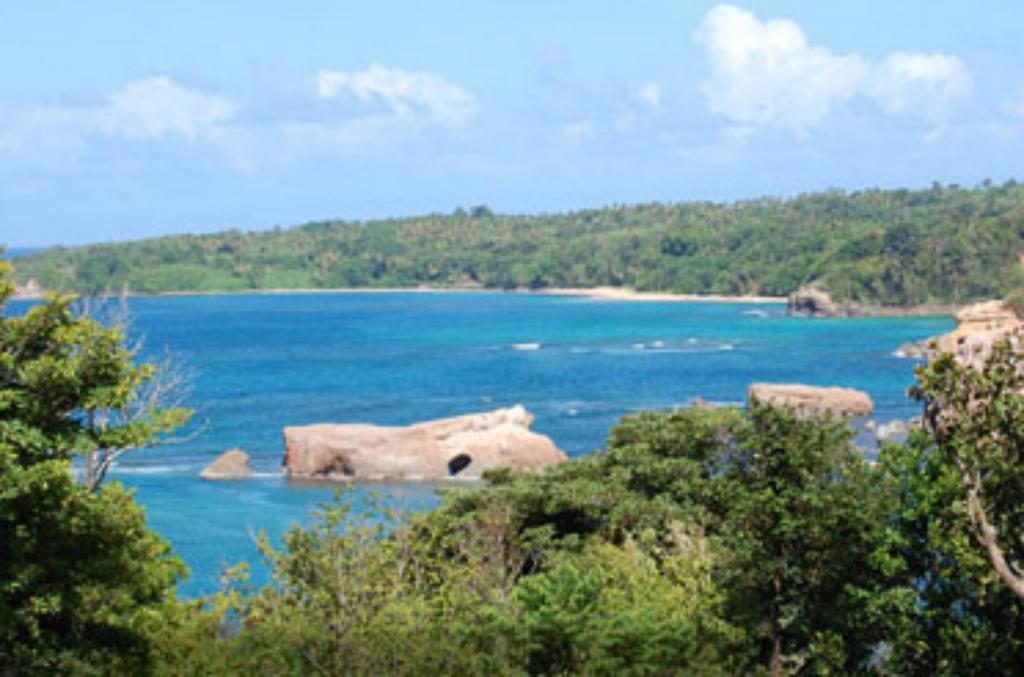 Calibishie Cove Hotel Exterior foto